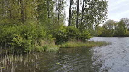 Fototapeta na wymiar Small lake in Dutch park, Alblasserdam, South Holland, Netherlands