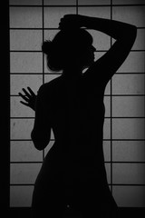Silhouette of a young woman