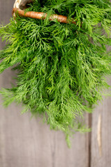 dill top view