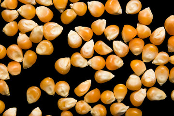 Corn is macro on black background on top