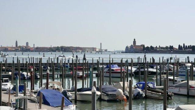 Venise au fil de l'eau
