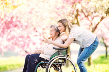 Elderly grandmother in wheelchair with granddaughter in spring nature.