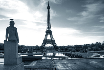 Eiffel tower. paris. france. Bird on the statue. Blue grey tones. - obrazy, fototapety, plakaty