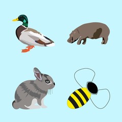 icons about Animal with head, mascot, hobby, farm and wild