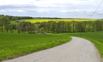 Brahmenau / Germany: View over the rural landscape with grain and rape fields on the gently rolling hills around the Brahme valley at the end of April