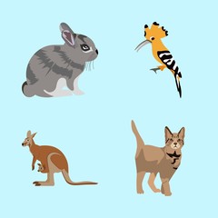 icons about Animal with white, ear, tail, beak and symbol