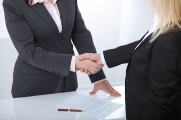 Business handshake. Two business women shake hands with each other to sign a successful deal