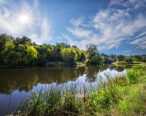 River flowing among green trees