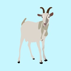 icons about Animal with domestic, pet, livestock, goat and natural
