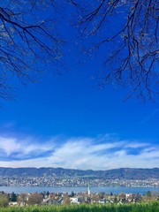 wiese im Dorf zollikon mit dem Blick auf thalwil und Uetliberg im Kanton Zürich in der schweiz