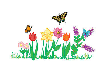 Spring flowers and butterflies