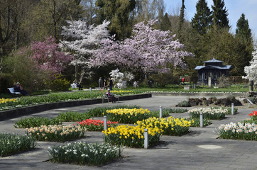 Frühling im Botanischen Garten, Augsburg
