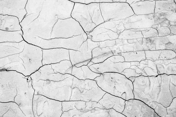 White abstract background texture concrete wall