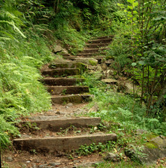 Valle Versasca Steps