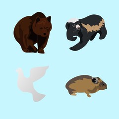 icons about Animal with small, doodle, black bear, cavia and zoo