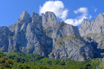 Picos de Europa