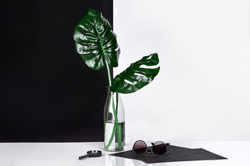 Bottle with tree leaves and sunglasses on table with black and white wall on background