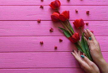 red tulips on a pink wooden background