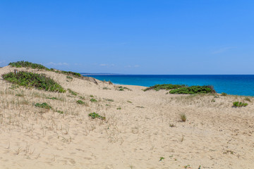 Vista da praia da comporta no Alentejo Portugal