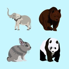 icons about Animal with safari, single, brown bear, zoo and head