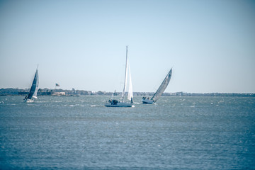 Fototapeta premium guear rail and security fence along harbor pier in port