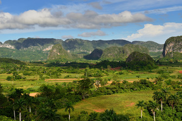 Fototapeta na wymiar View over landscape with mogotes in Vinales Valley, Cuba, Pinar del Rio province
