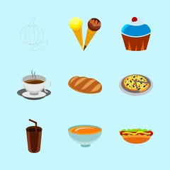 icons about Food with pepperoni, culinary, fast food, ice and vanilla