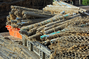 matériels pour ostréiculteurs