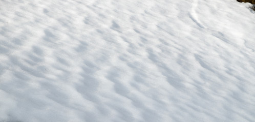 Snow texture