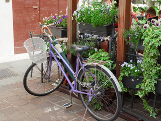 purple bicycle parked outside a cafe with pots of flowers and plants at the entrance