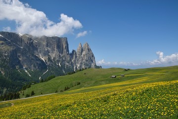 Panorama sulle montagne, grande prato fiorito 