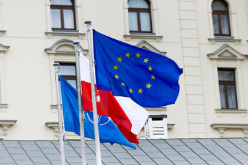 flaga Unii Europejskiej Polski NATO - obrazy, fototapety, plakaty