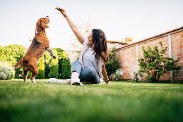 Beautiful woman giving food to dog from her hand. - obrazy, fototapety, plakaty