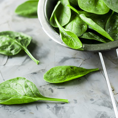 Washed spinach in a metal colander on a gray background. Fresh green leaves for cooking healthy...