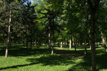 Park