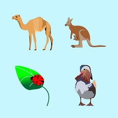 icons about Animal with vintage, leaf, wallaby, nature and travel