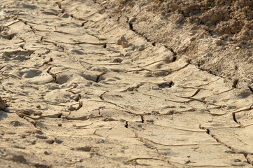Dry dirt ground with cracks during hot weather
