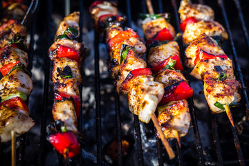Close up pf delicious chicken breast on wooden skew with fresh vegetables, garlic, paprika fried on mangal barbeque grill