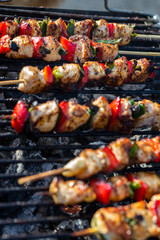 Close up pf delicious chicken breast on wooden skew with fresh vegetables, garlic, paprika fried on mangal barbeque grill