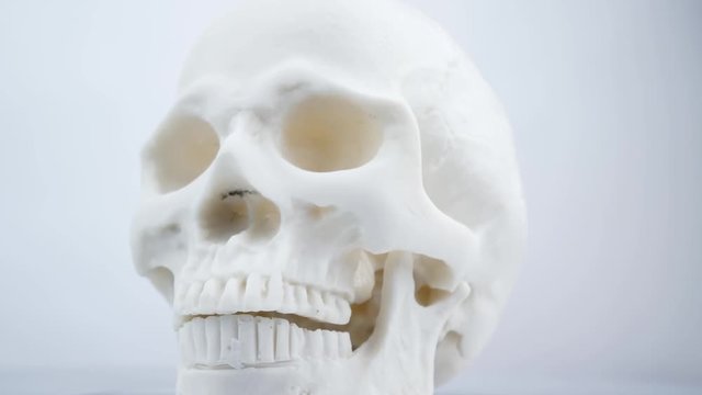 Human skull isolated on white