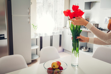 Woman puts tulips in vase. Housewife taking care of coziness in kitchen. Modern kitchen design