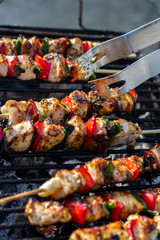 Close up pf delicious chicken breast on wooden skew with fresh vegetables, garlic, paprika fried on mangal barbeque grill