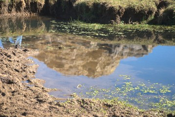 Agua cristalina de vertiente
