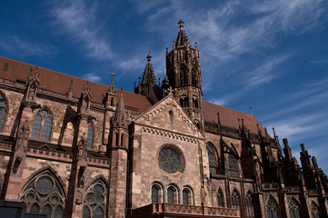 Freiburger Münster
