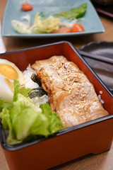 Donburi or Japanese charcoal grilled pork with rice. Soft focus on the sauce topping and sesame.