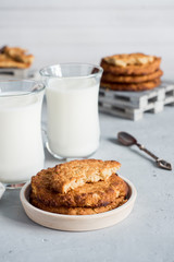 Fresh healthy milk and oatmeal cookies with cereals on grey concrete background