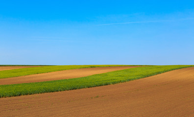 Obraz premium pannonian landscape colors