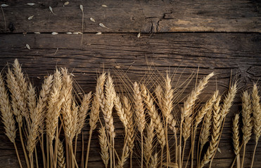 Wheat ears on rustic wooden background.