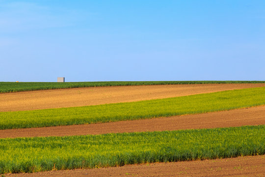 Landscape Color Of Pannonia 