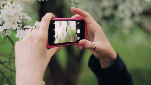 Girl takes pictures of flowers using a smartphone with different framing.